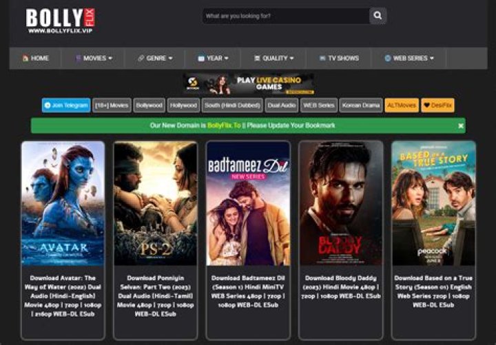 BollyFlix 300MB Movie Download: Your Ultimate Guide to Streaming and Downloading Movies