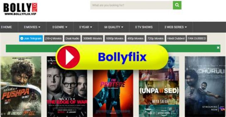 Bollyflix Movie Download Website: Your Ultimate Guide to Bollywood Entertainment