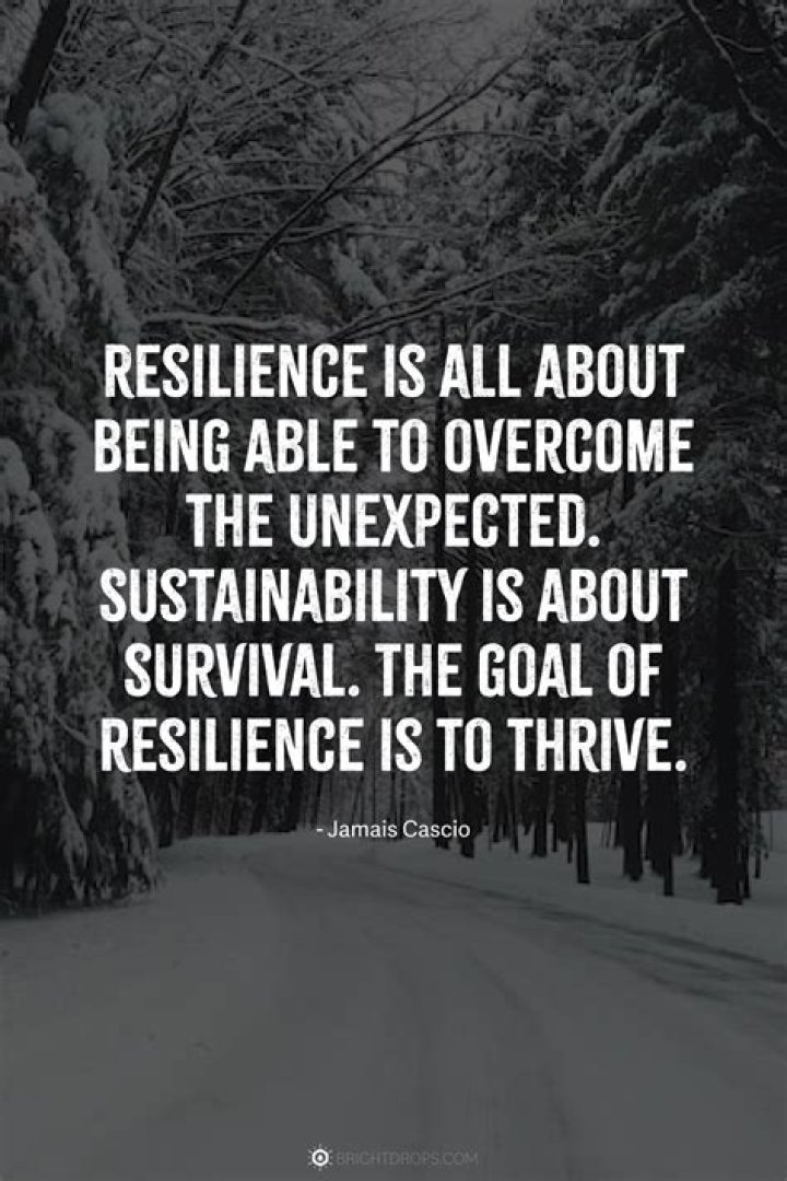 Cecelia Cichan Today: The Inspiring Journey of a Resilient Survivor