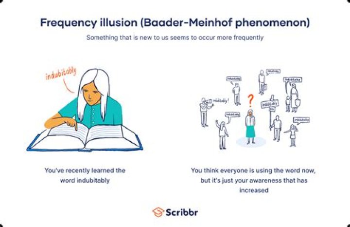 Iamelizsmth: The Ultimate Guide to Understanding the Phenomenon