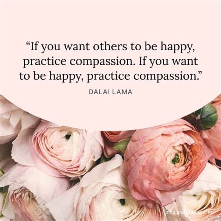 Lacy Kim Boston Nurse: The Inspiring Story of Dedication and Compassion