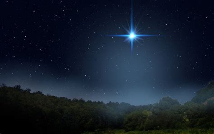 Montana Jordan Scar Cheek: The Rising Star Shining Bright