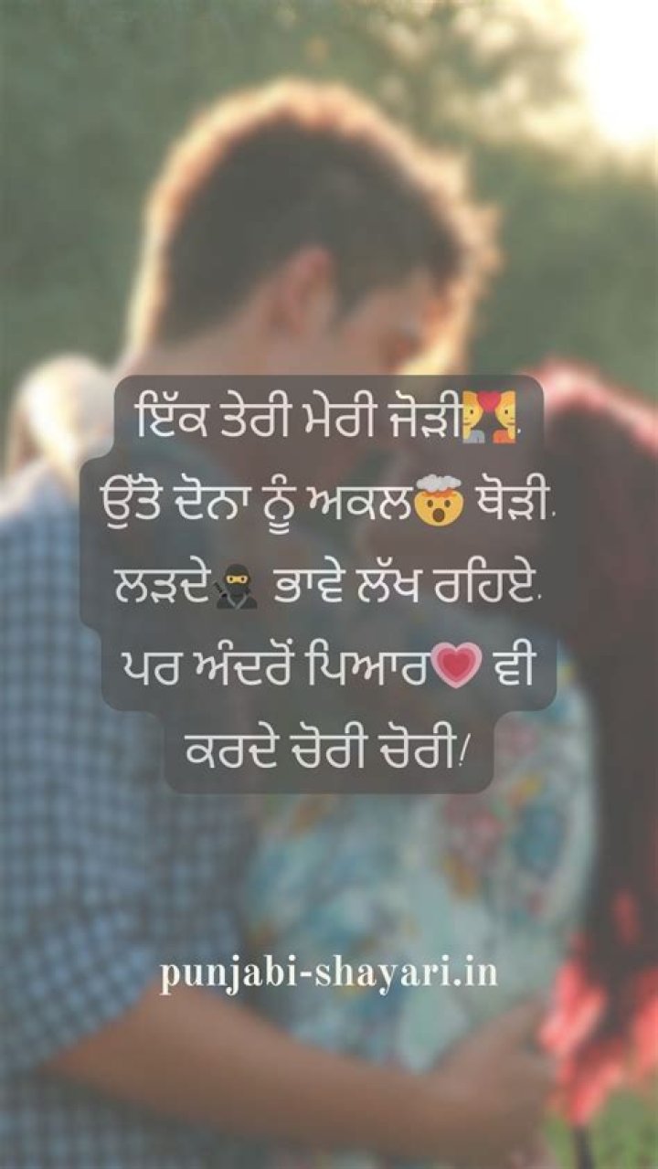 My Desi Net Punjabi: Your Ultimate Guide to a Vibrant Cultural Hub