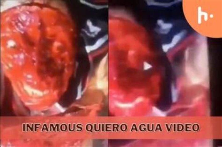 Quiero Agua Gore Video Unveiling the Dark Side of Viral Content