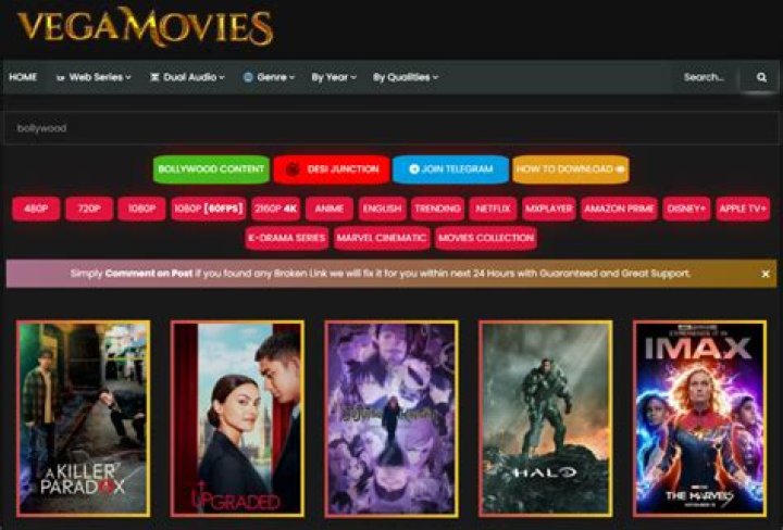 Vegamovies.in 2024: The Ultimate Guide to Your Streaming Needs